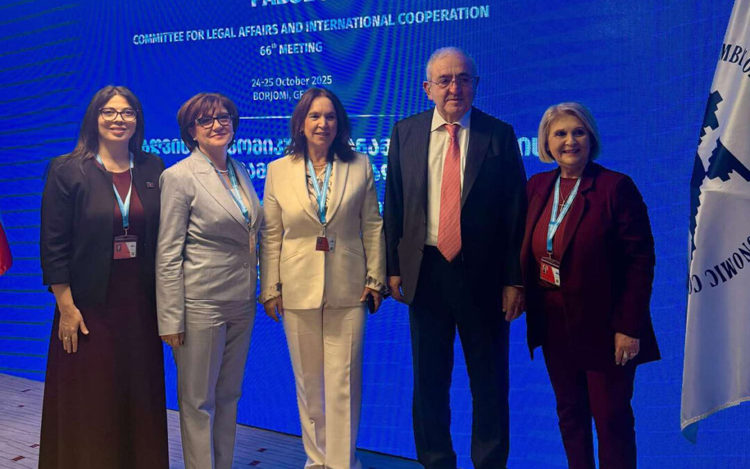 Бях избрана за заместник-председател на Комитета по правни въпроси и международно сътрудничество на ПАЧИС